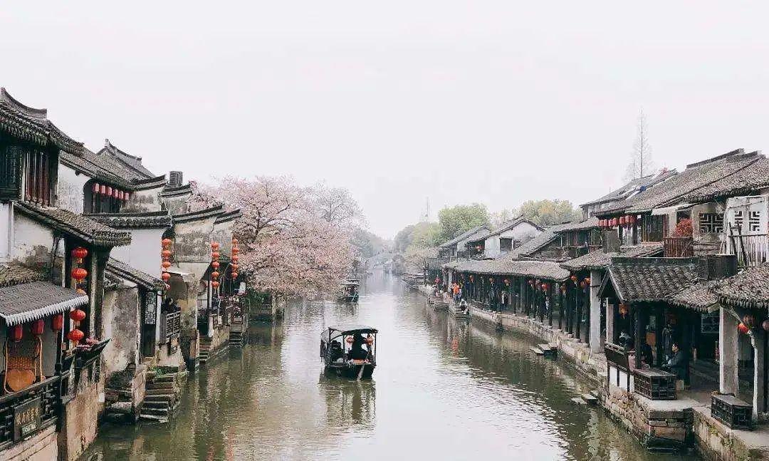 救援受困的萌兔